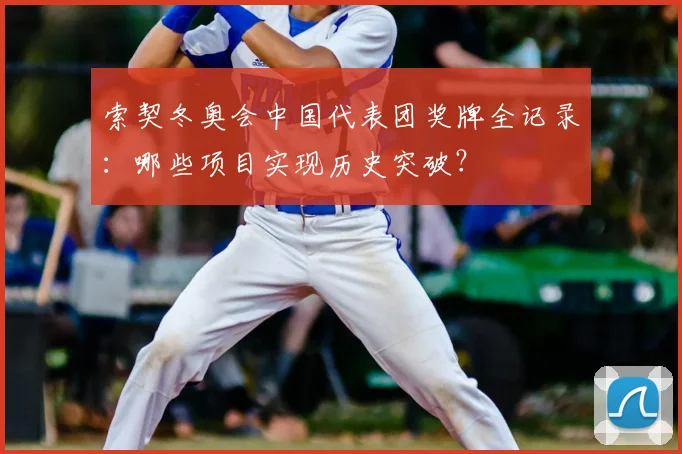索契冬奥会中国代表团奖牌全记录：哪些项目实现历史突破？
