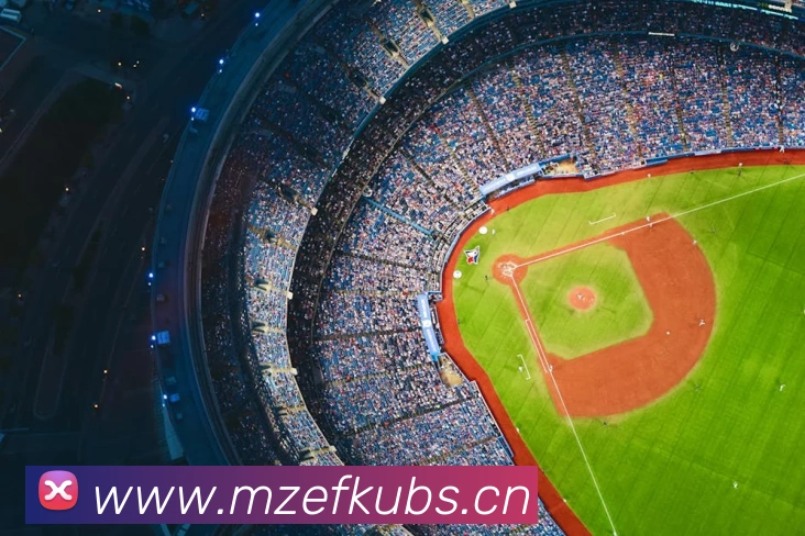 App Interface Preview